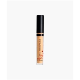  Diego dalla Palma GEISHA LIFT CONCEALER 120-ihoa tasoittava peiteväri